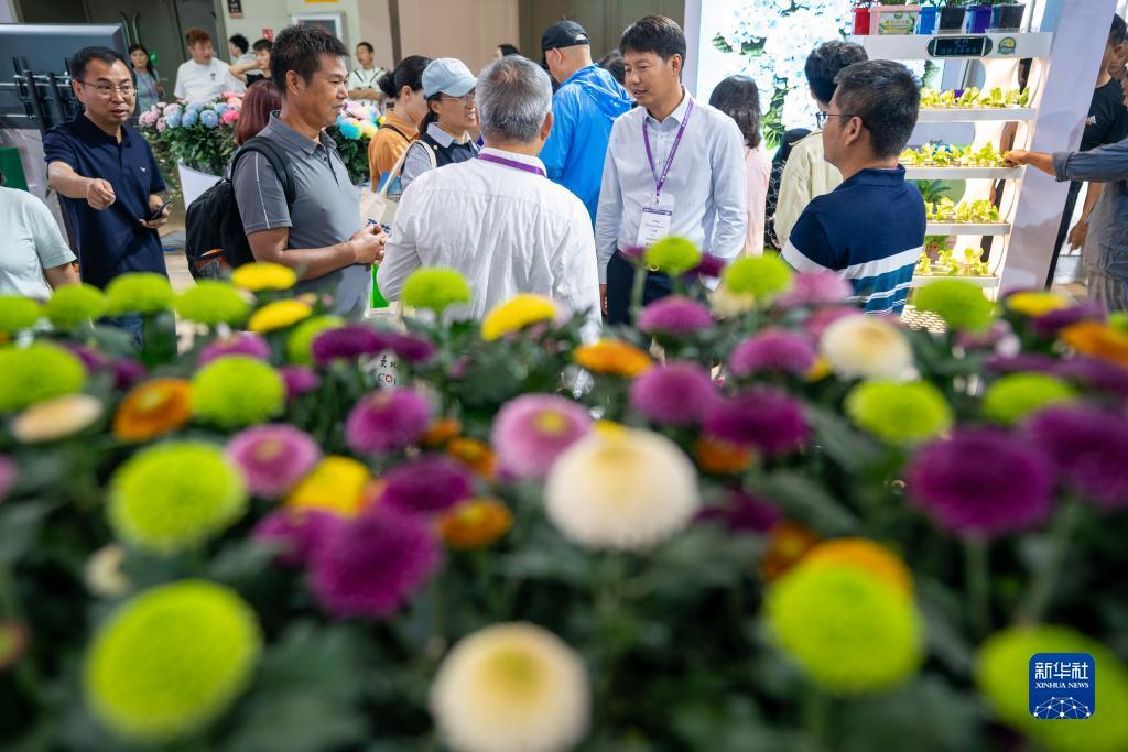 mg藏分放分